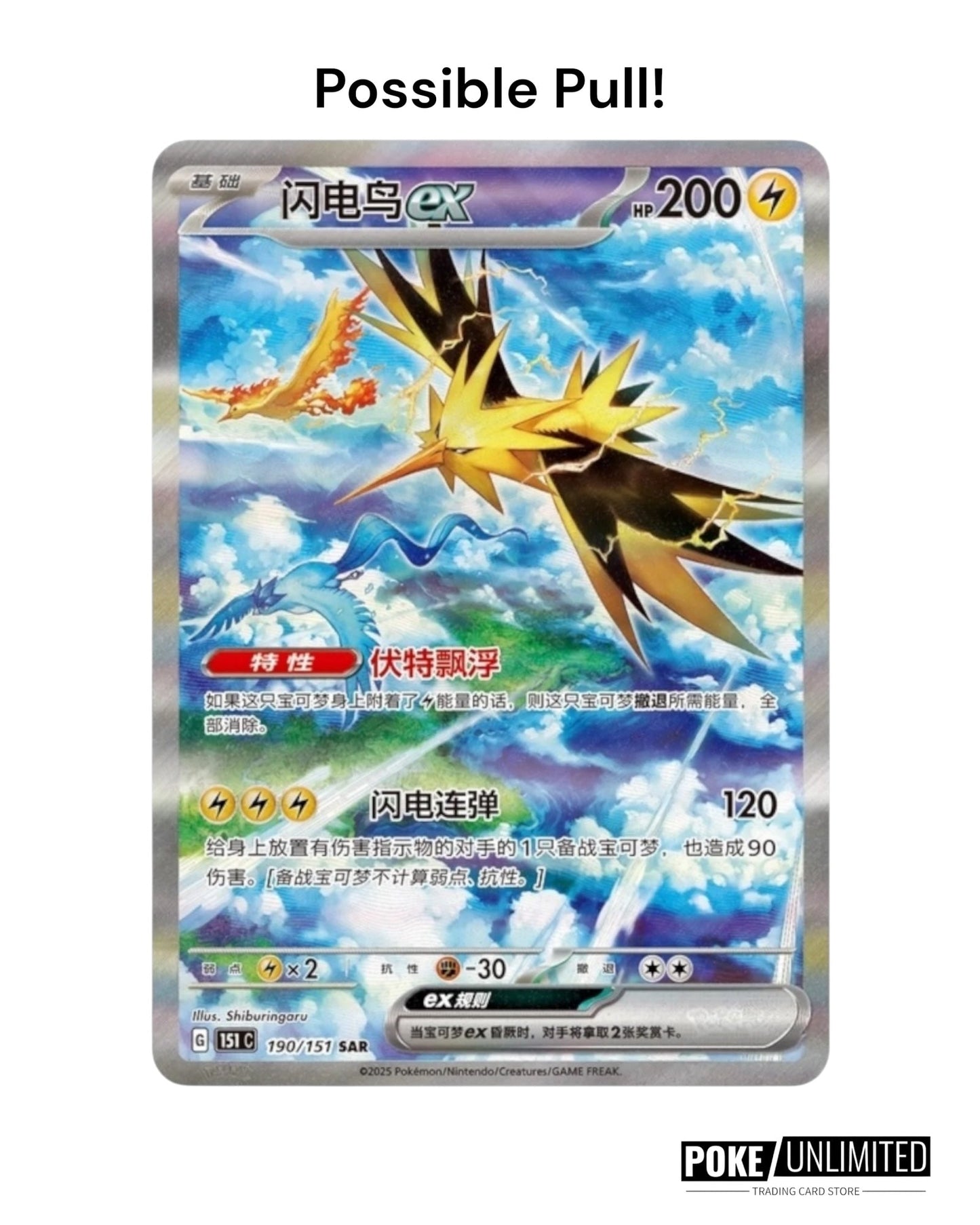 Pokémon TCG: Collect 151 Gathering "Random" Coin Set (S-Chinese)