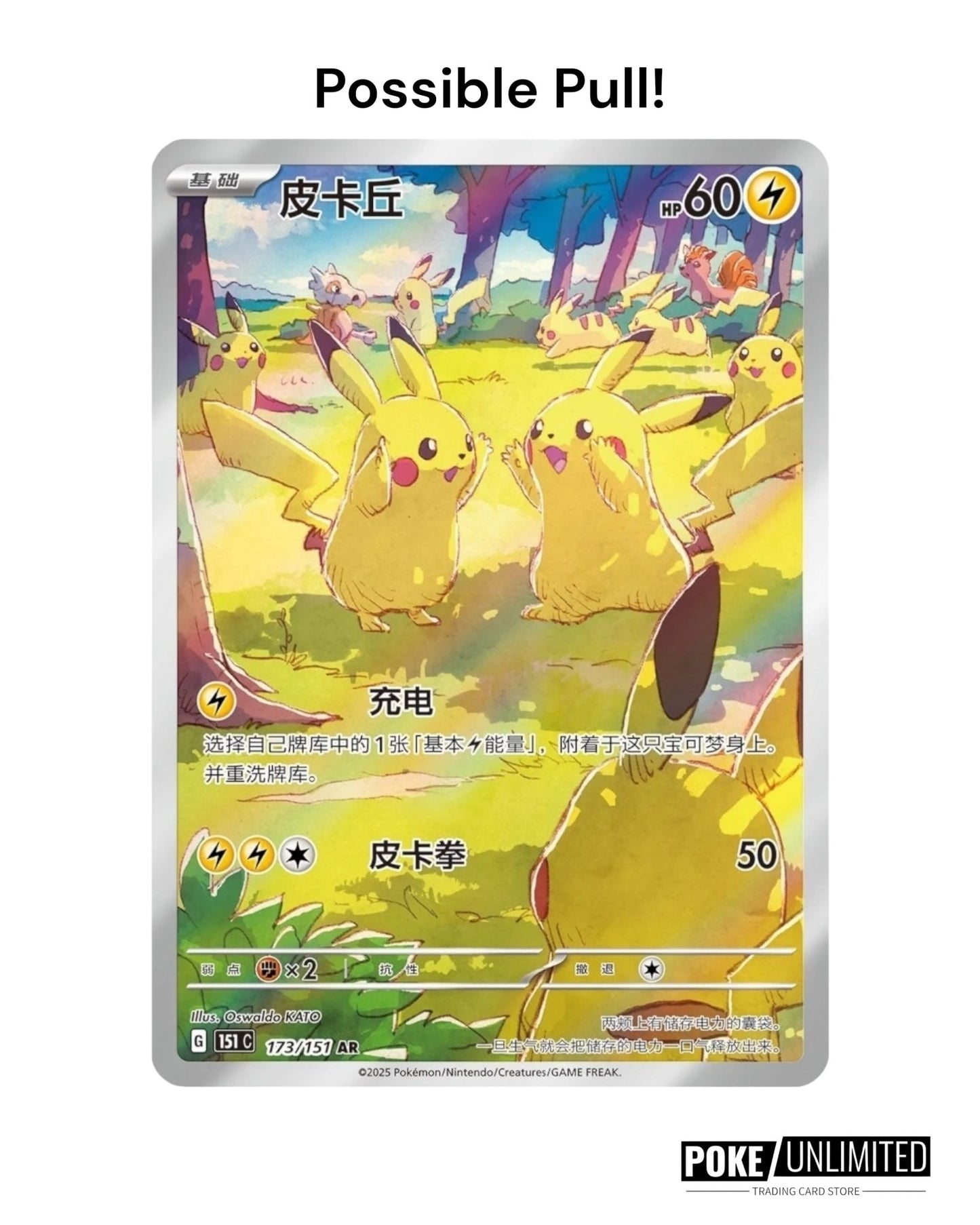 Pokémon TCG: Collect 151 Gathering "Random" Coin Set (S-Chinese)