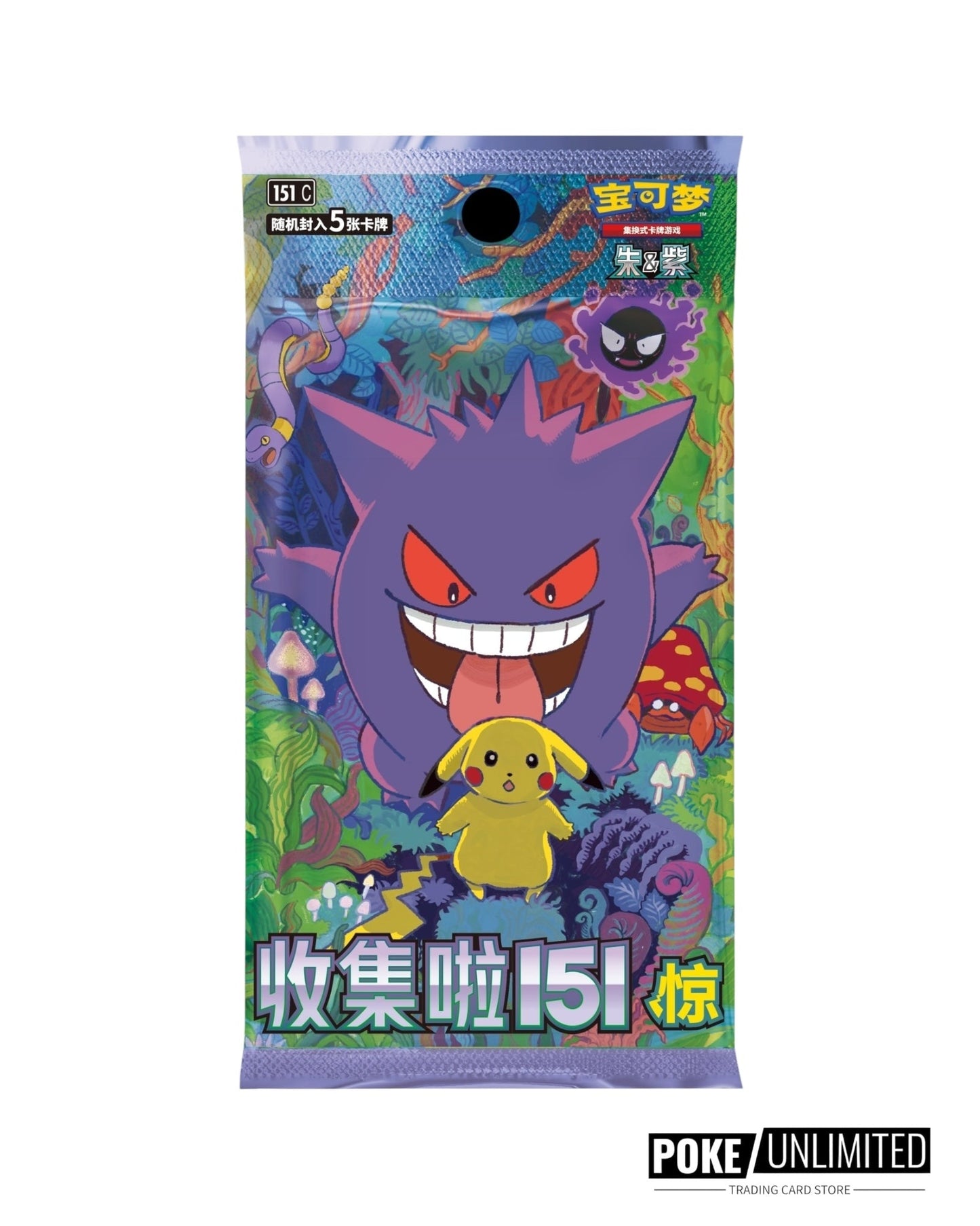 Pokémon TCG: Collect 151 Surprise "Random" Coin Set (S-Chinese)