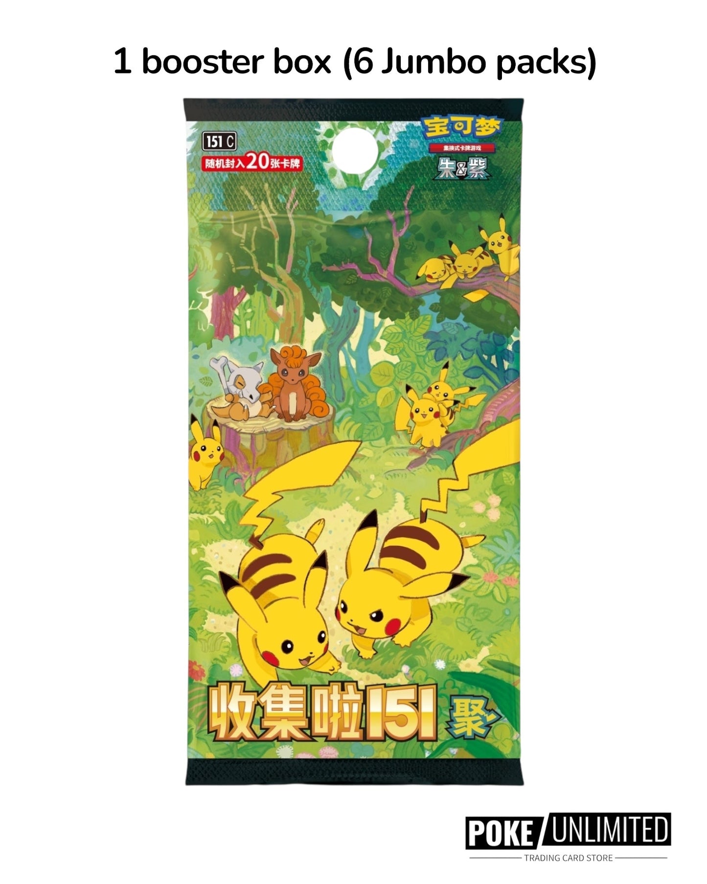 Pokémon TCG: Collect 151 The First Partner Premium Gift Box "Charmander" (S-Chinese)